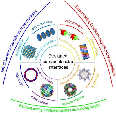 Hierarchical Self-Assembly of Proteins Through Rationally Designed Supramolecular Interfaces